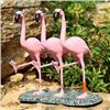Image 1 : Flamingo Chorus Line