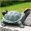 Image 1 : Strolling Garden Turtle With Friend