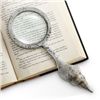 Image 1 : Conch Shell Magnifying Glass