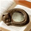 Image 1 : Cat Magnifying Glass