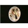 Image 1 : Bird Cameo; Removed from Jewelry
