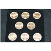 Image 1 : 2009 US Presidential $1 Mint Coin Set-Satin Finish; P&D Mints; Lot of 8