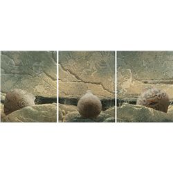 Bill Dixon, triptych oils on canvas