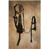 Image 2 : Kit Carson's Bridles