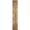 Image 1 : Adult Painted Bow, Meyers Collection
