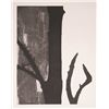 Image 1 : Donald Newman, Temptation, Etching