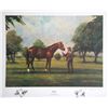Image 1 : Ralph Douglas Schon, Alydar, Offset Lithograph