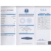 Image 2 : 3.07 ctw EGL Certified Round Brilliant I,VS2