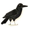Image 1 : Zuni Multi-Stone Blackbird Pendant & Pin - Stephan Lonjose