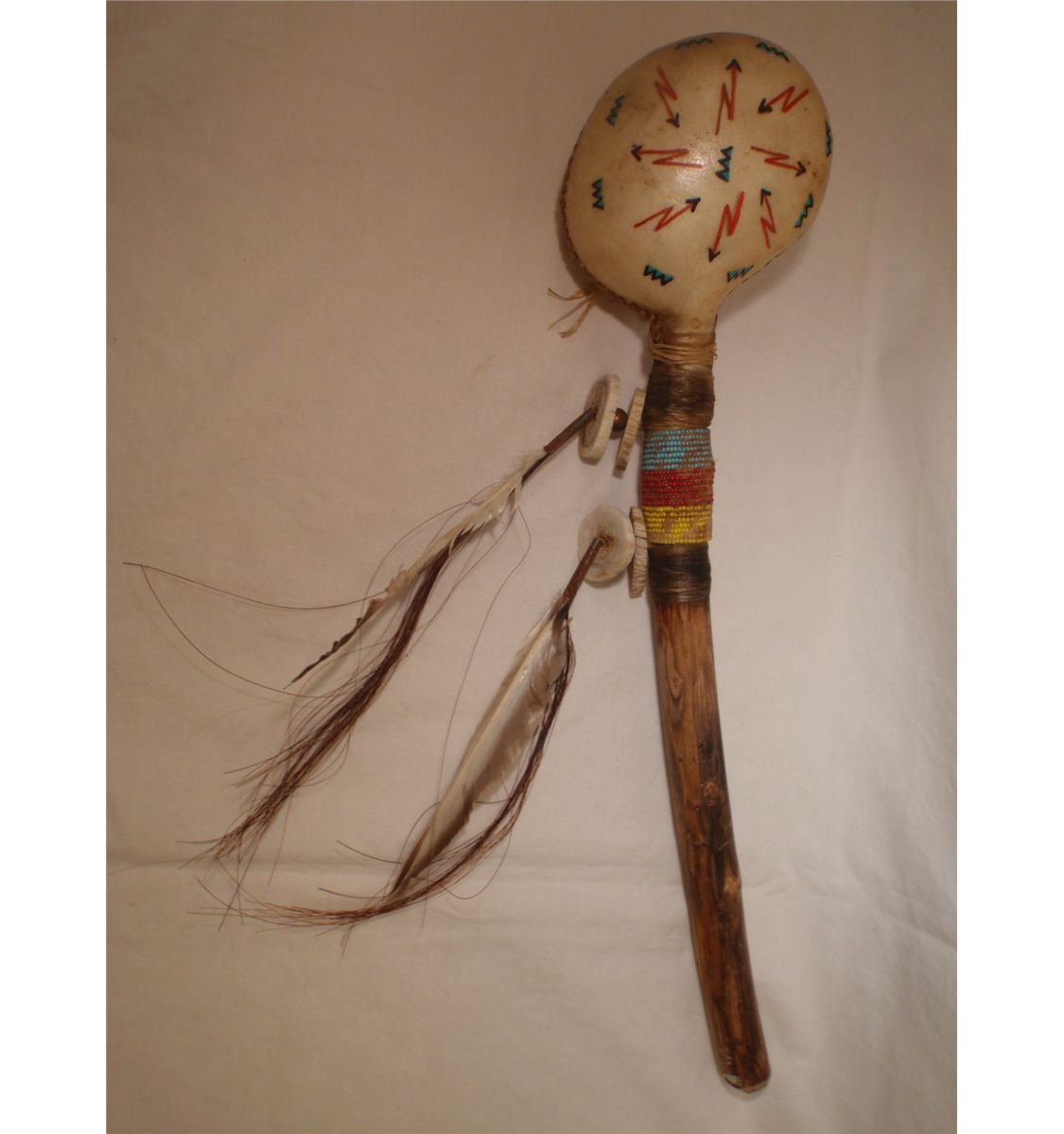 Indian Rattle