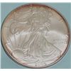 Image 1 : 2006 .999 PURE SILVER ONE TROY OZ ROUND AMERICAN EAGLE