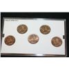 Image 2 : 2006-P US Mint State Quarter Set; BU, Layered in Platinum