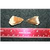 Image 1 : Dinosaur Teeth; Lot of 2