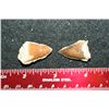 Image 2 : Dinosaur Teeth; Lot of 2