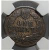 Image 3 : 1876 Indian penny  NGC20