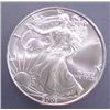 Image 1 : 2006 AMERICAN SILVER EAGLE, GEM BU