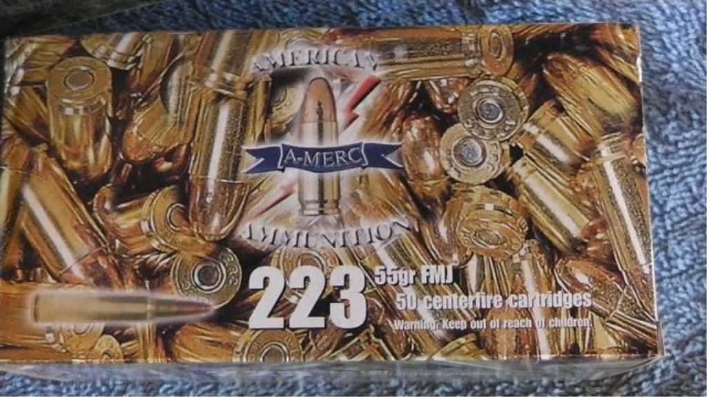10 Boxes of .223 American Ammunition, 500 Rounds,
