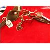 Image 1 : Set of unmarked Spurs