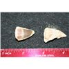 Image 2 : Dinosaur Teeth; Lot of 2