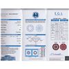 Image 2 : Certified Round Diamond 1.01ct, D, SI1, EGL ISRAEL