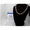 Image 3 : $13,100 CHOCOLATE Tahitian Pearls