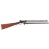 Image 1 : Maynard Patent Single Shot Rifle with One Extra Barrel