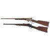 Image 2 : Two Carbines