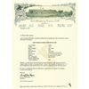 Image 2 : U.S. Colt Single Action Army Revolver with Belt Holster and Factory Letter