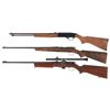 Image 2 : Three 22 Rifles