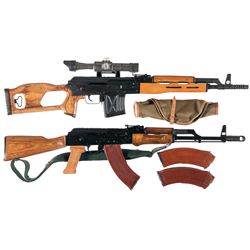 Two Semi-Automatic Rifles