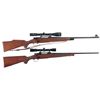 Image 1 : Two Scoped Winchester Model 70 Bolt Action Rifles