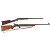 Image 1 : Two Rifles