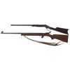 Image 2 : Two Rifles