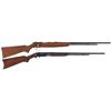 Image 1 : Two Remington Rifles