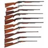 Image 1 : Ten Sporting Rifles