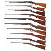 Image 2 : Ten Sporting Rifles