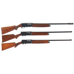 Three Semi-Automatic Shotguns