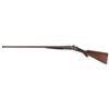 Image 2 : Colt Model 1878 Side by Side Hammer Shotgun