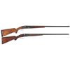 Image 1 : Two Side by Side Hammerless Shotguns