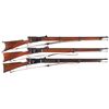 Image 1 : Three Vetterli Bolt Action Rifles