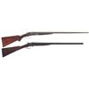 Image 1 : Two Side by Side Hammer Shotguns