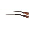 Image 2 : Two Long Guns