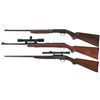 Image 2 : Three .22 Caliber Rifles