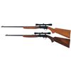 Image 2 : Two Belgian Browning Semi-Automatic Rifles