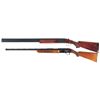 Image 2 : Two Shotguns