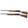Image 2 : Two Semi-Automatic Shotguns