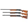 Image 2 : Three Shotguns