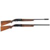 Image 1 : Two Winchester Semi-Automatic Shotguns
