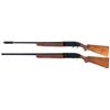 Image 2 : Two Winchester Semi-Automatic Shotguns
