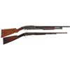 Image 1 : Two Long Guns
